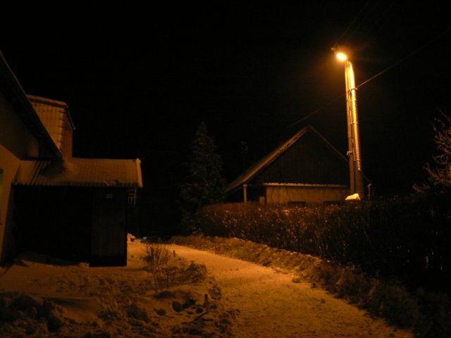 2006