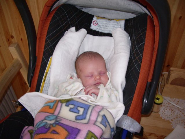 2006
