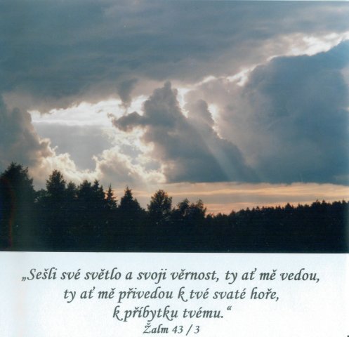 2006