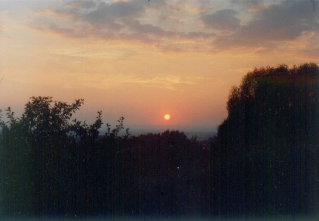 2006