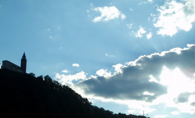 2006