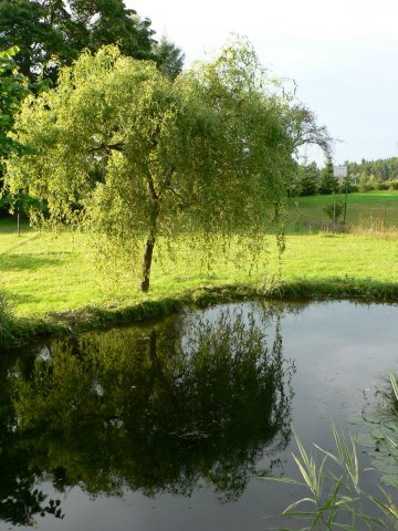 2008